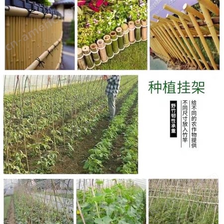 绿化杆支撑杆抗风杆防寒竹杆竹竿瓜果蔬菜园搭架围栏旗杆支撑庭院